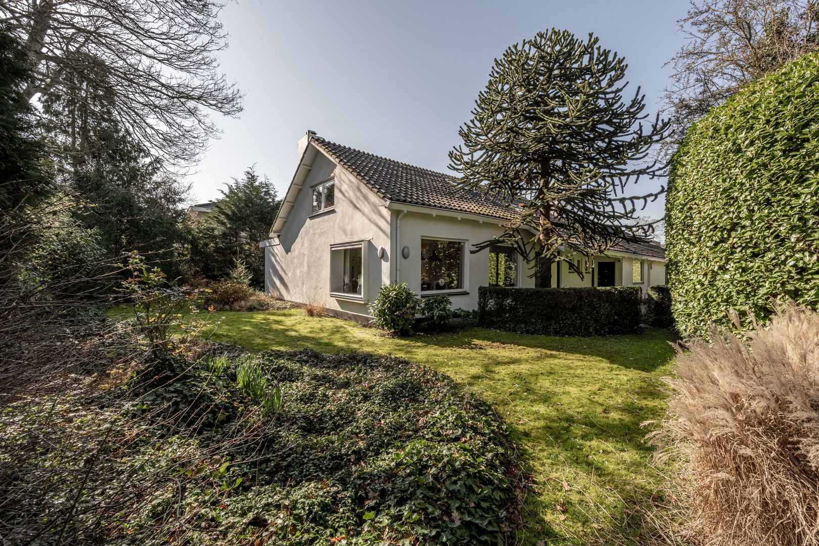 Molenweg 3, Mijnsheerenland foto-60