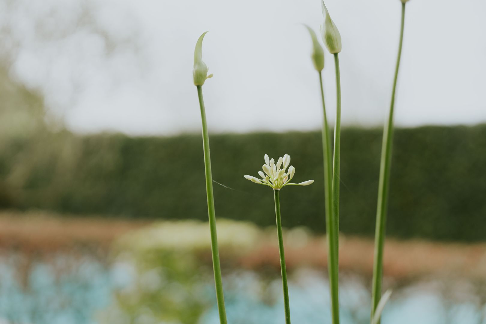 Bronkhorstdreef 24, Roosendaal foto-62