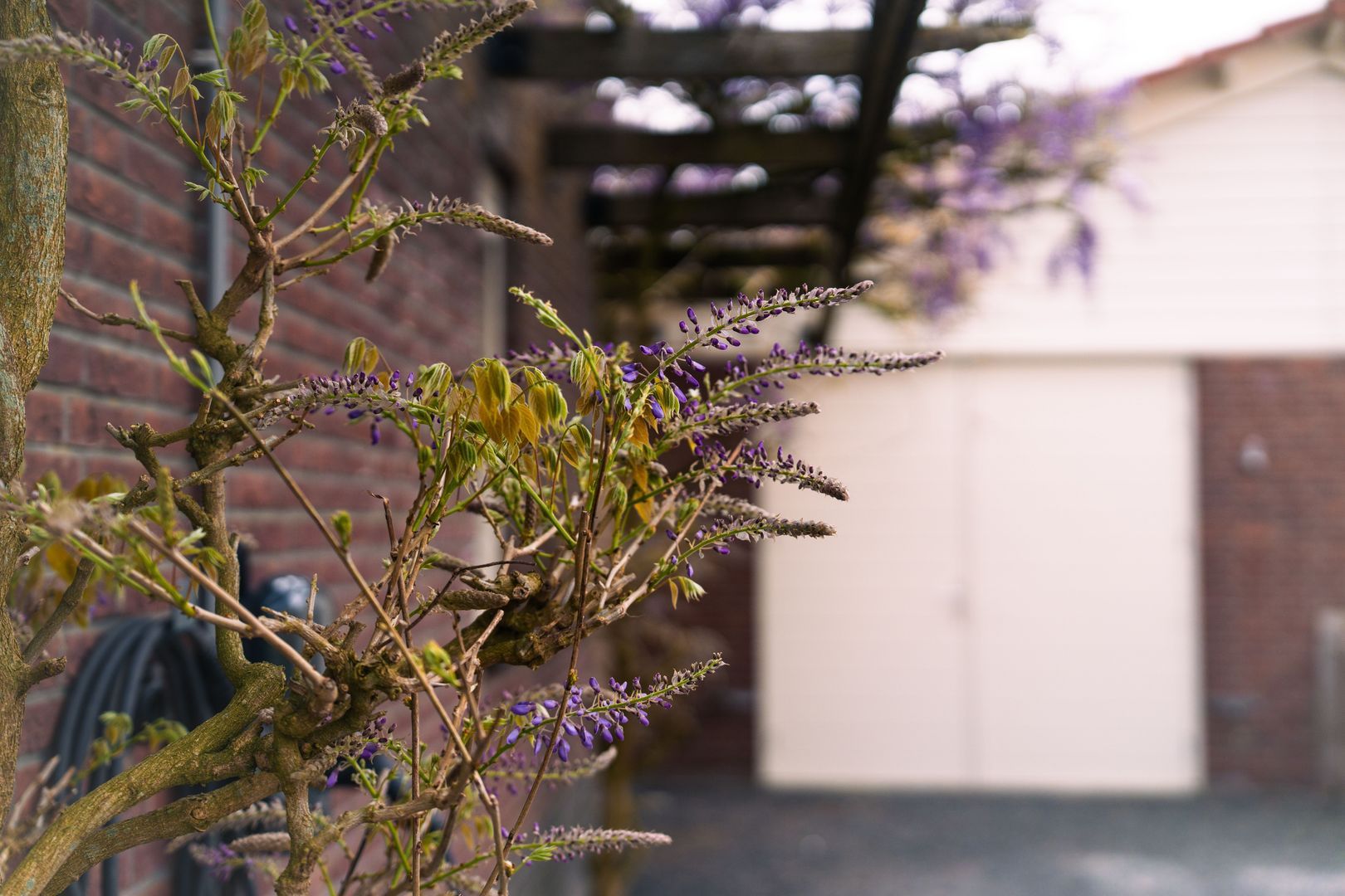 Bronkhorstdreef 24, Roosendaal foto-74