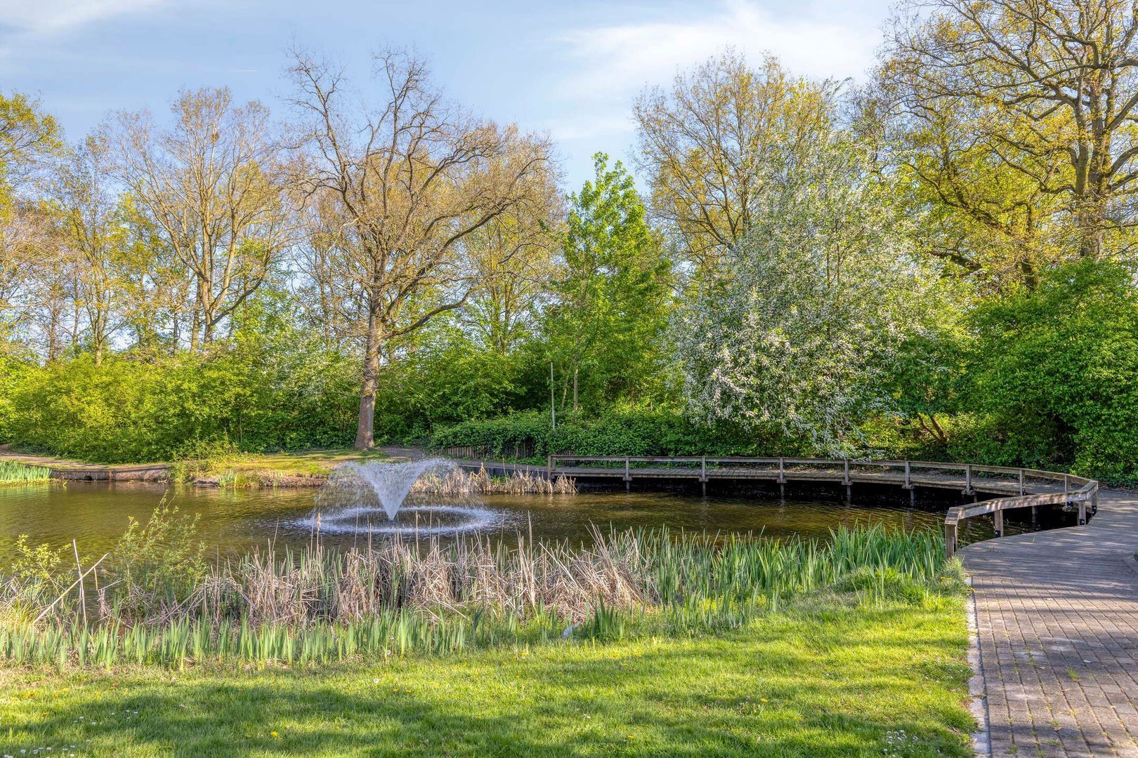 Bergsestraat 45, Wouw foto-93