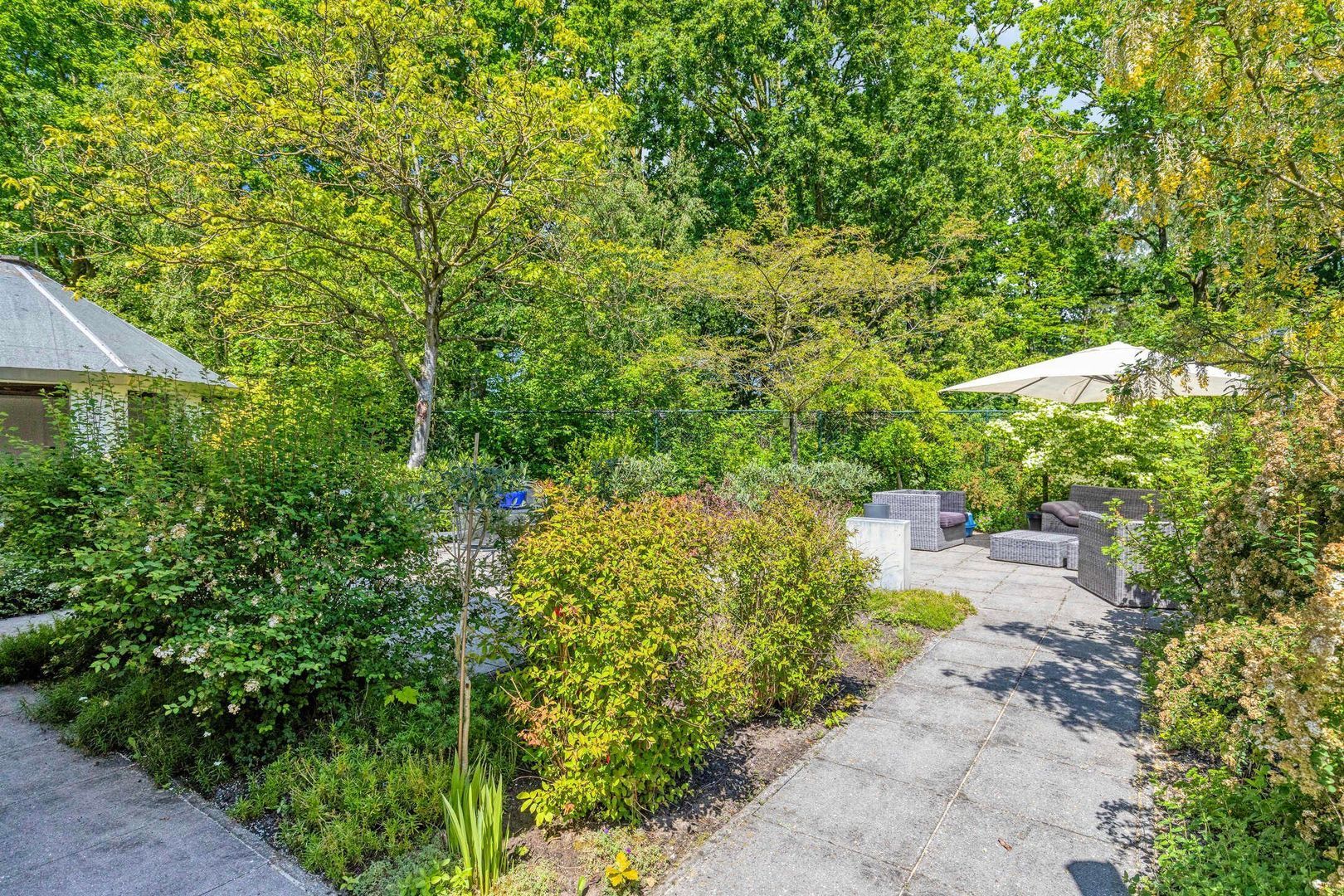 Tindijk 1, Roosendaal foto-64