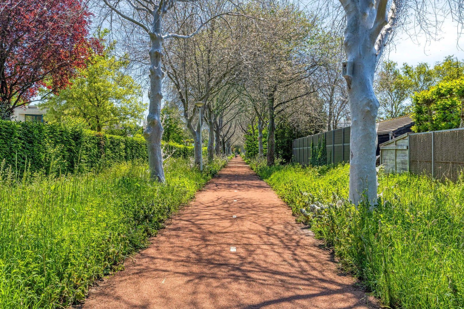 Tindijk 1, Roosendaal foto-95