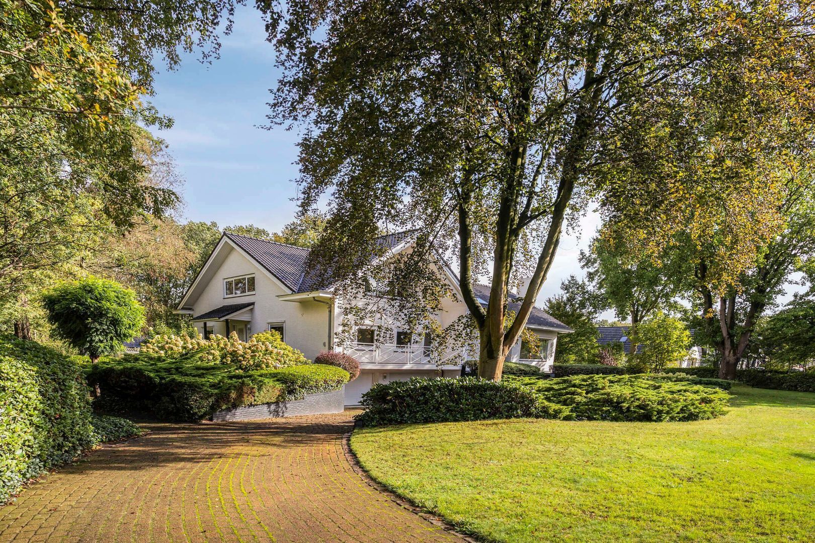 Scherpenbergsebaan 6, Schijf foto-60