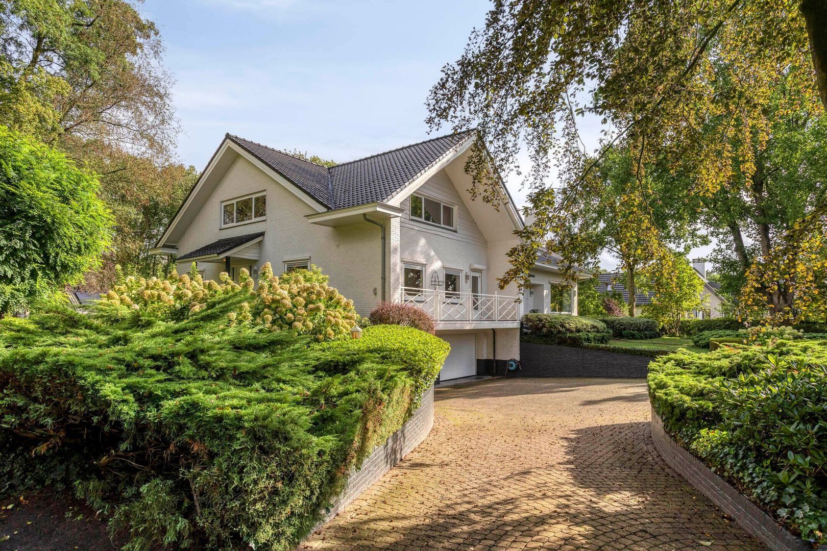 Scherpenbergsebaan 6, Schijf foto-61