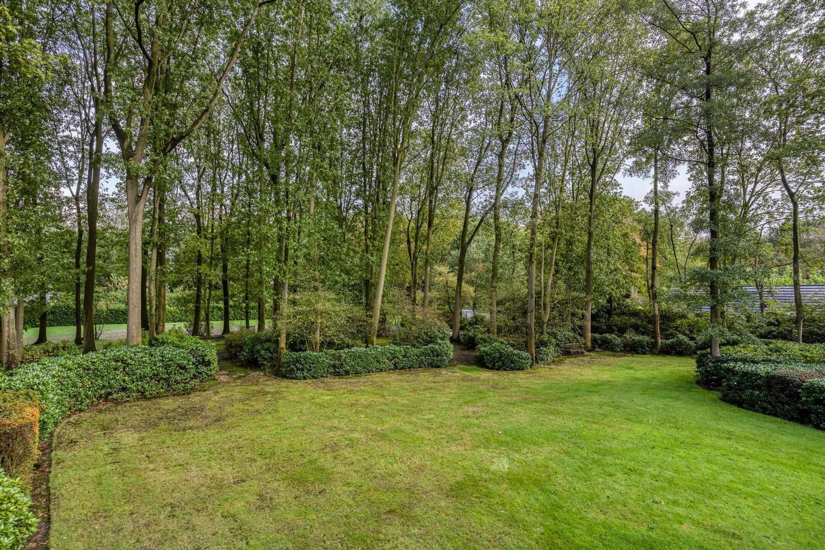 Scherpenbergsebaan 6, Schijf foto-53