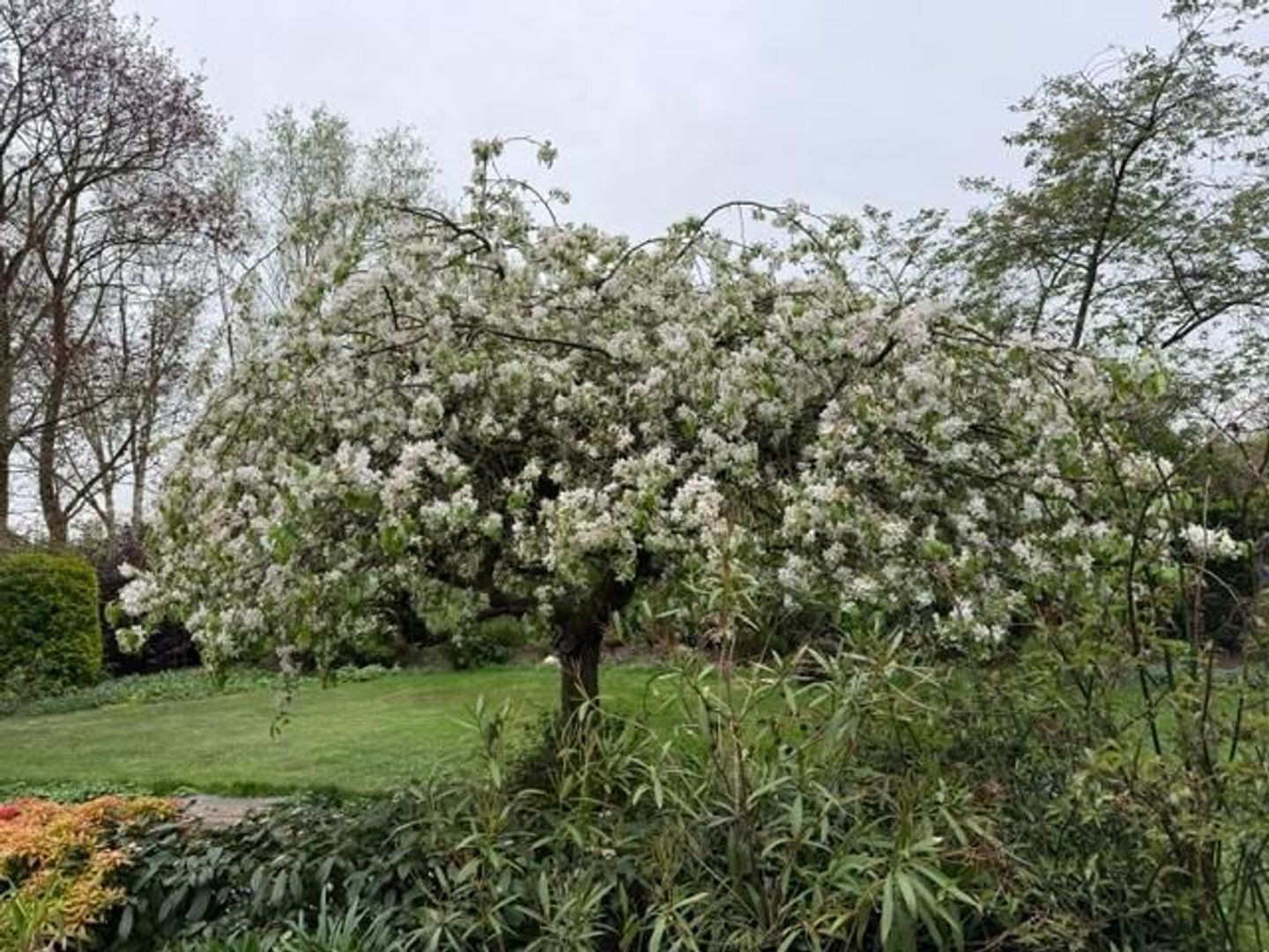 Brucknerlaan 23, Roosendaal foto-116
