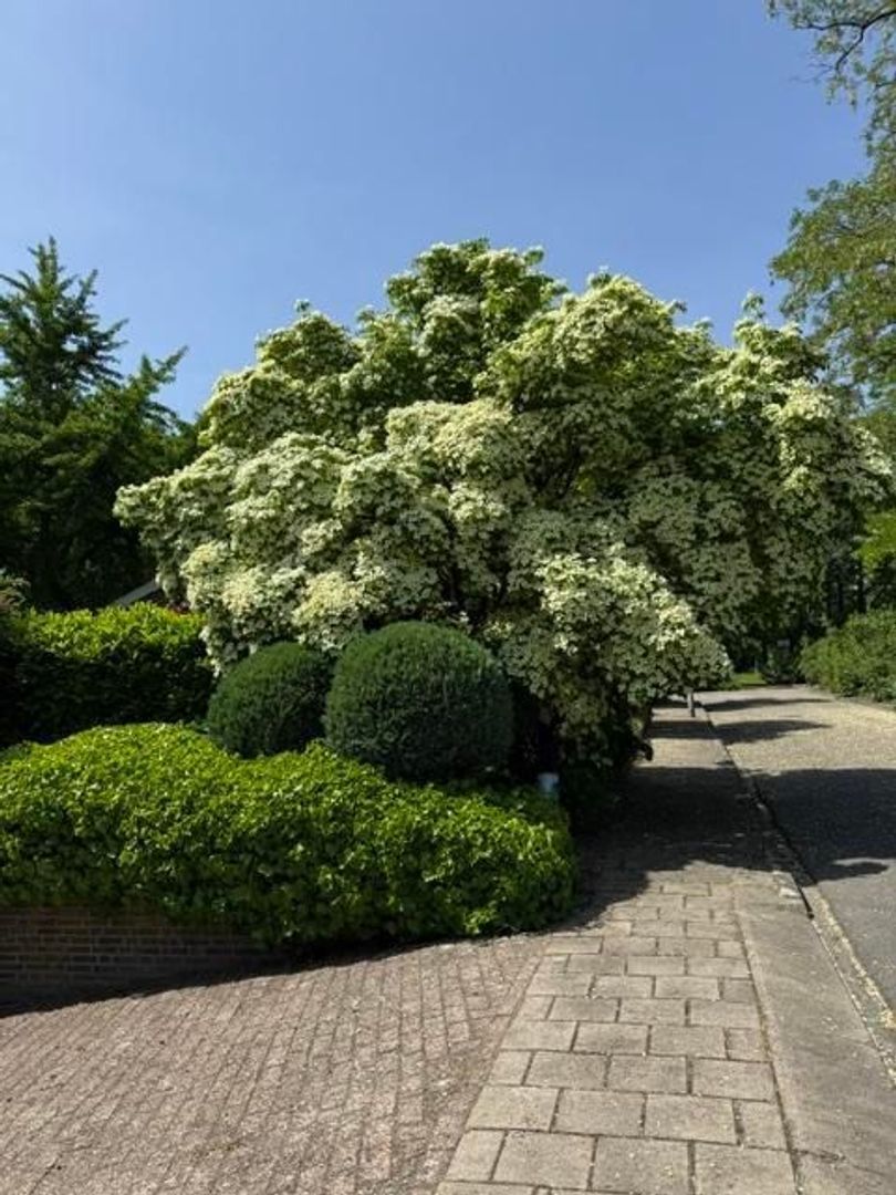 Brucknerlaan 23, Roosendaal foto-114