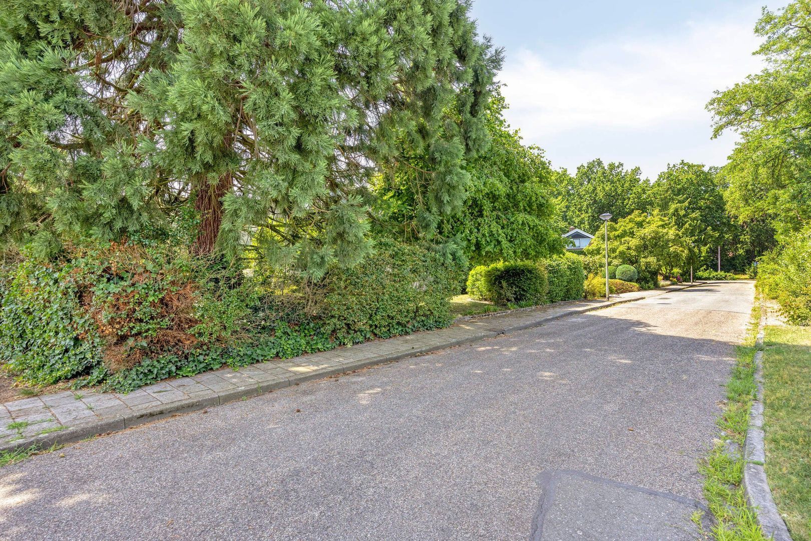 Brucknerlaan 23, Roosendaal foto-108