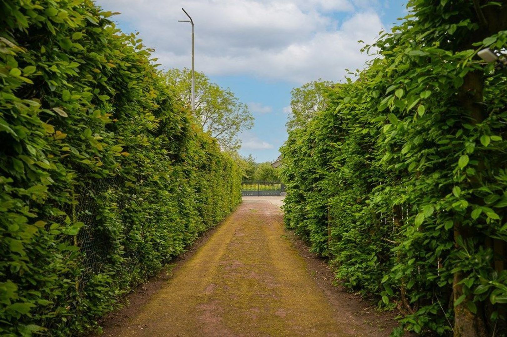 Zuiderlingedijk 179, Spijk foto-49