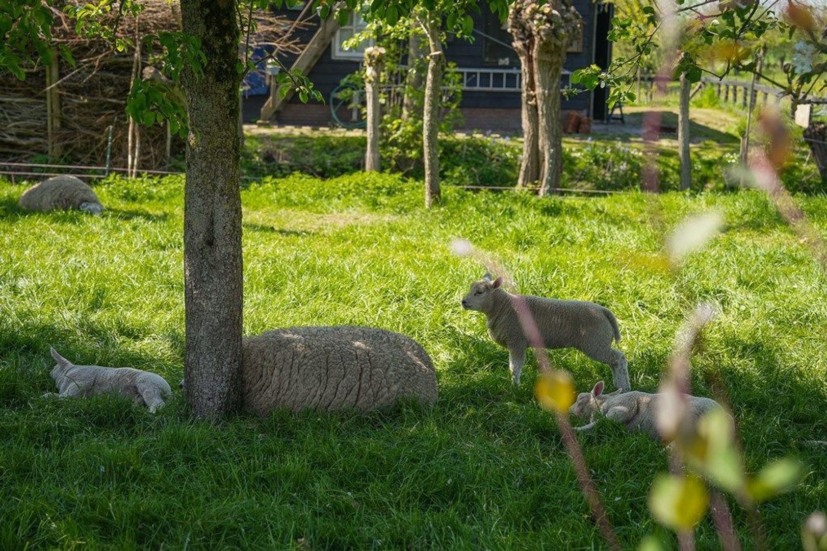Broekseweg 64, Meerkerk foto-58