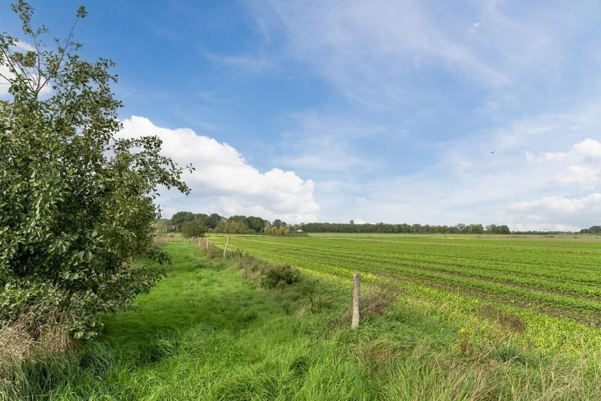 Eikenveld 2 Photo Blur 100