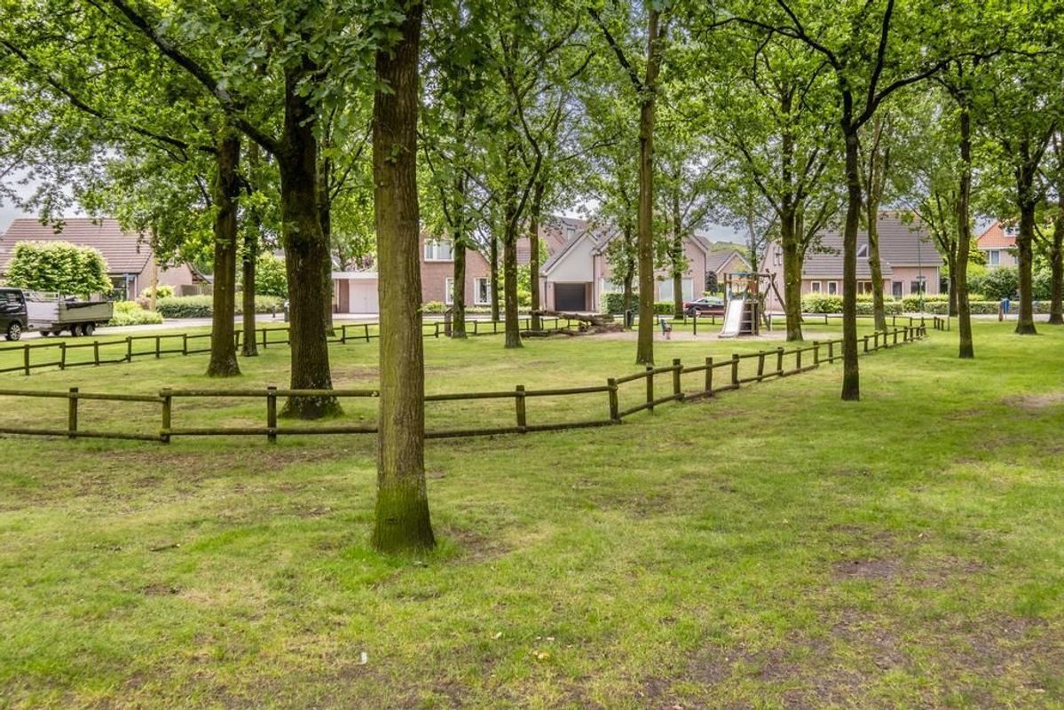 Scholverbos 1 Photo Blur 43