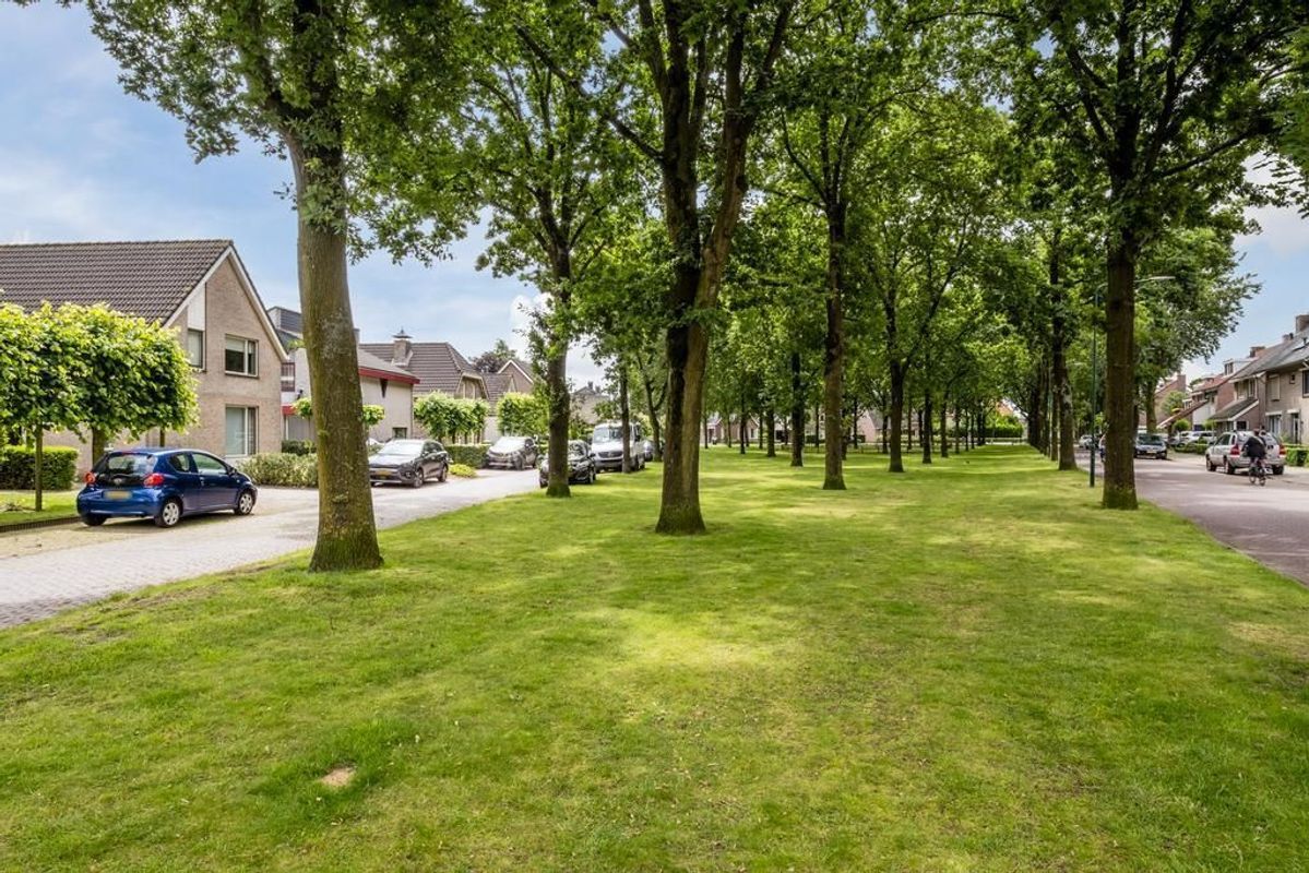 Scholverbos 1 Photo Blur 42