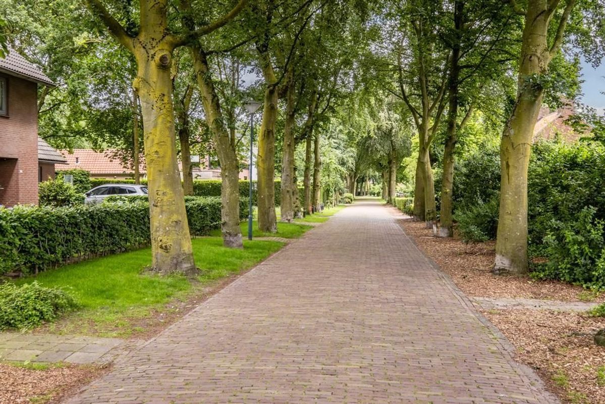 Scholverbos 1 Photo Blur 44