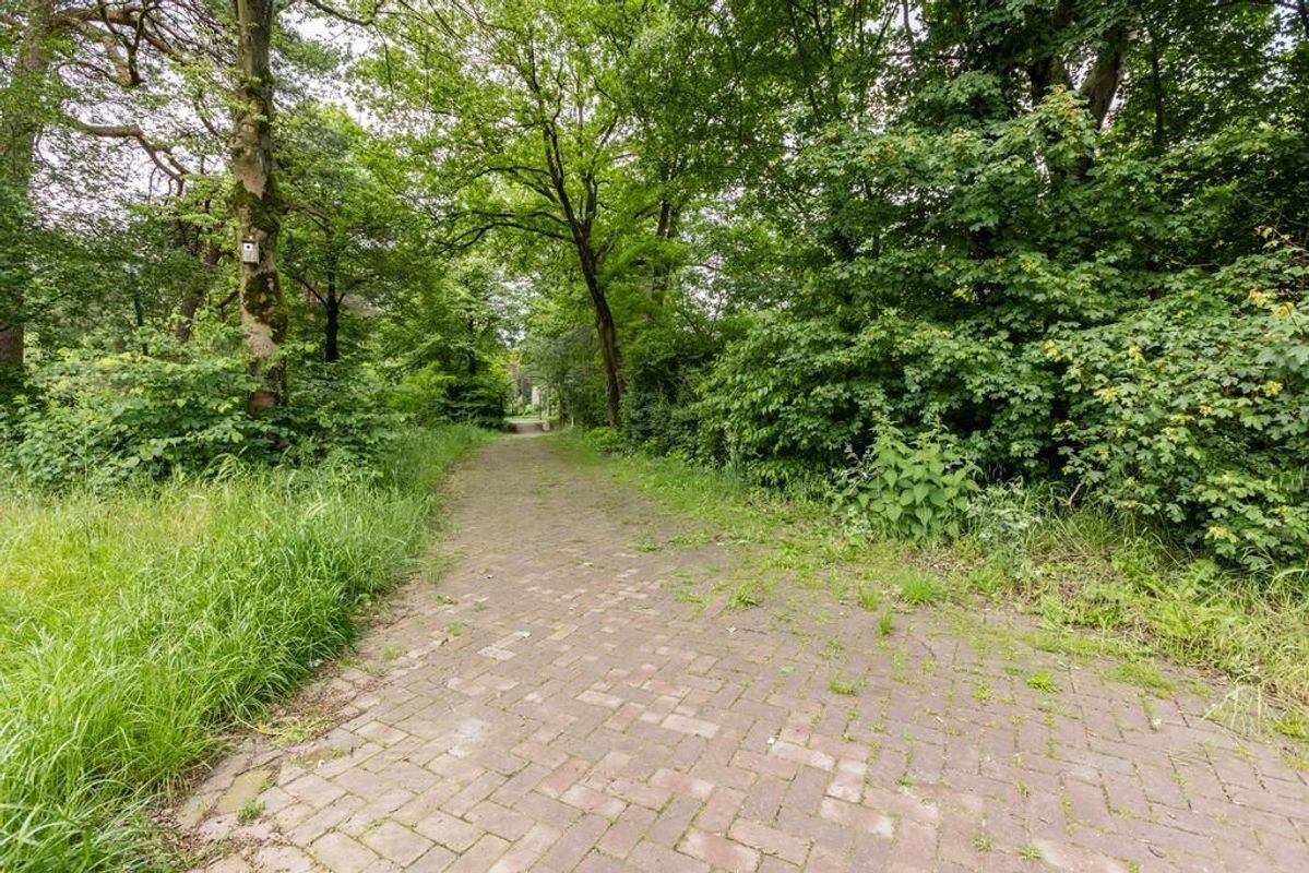 Saksen Weimarstraat 25 Photo Blur 23
