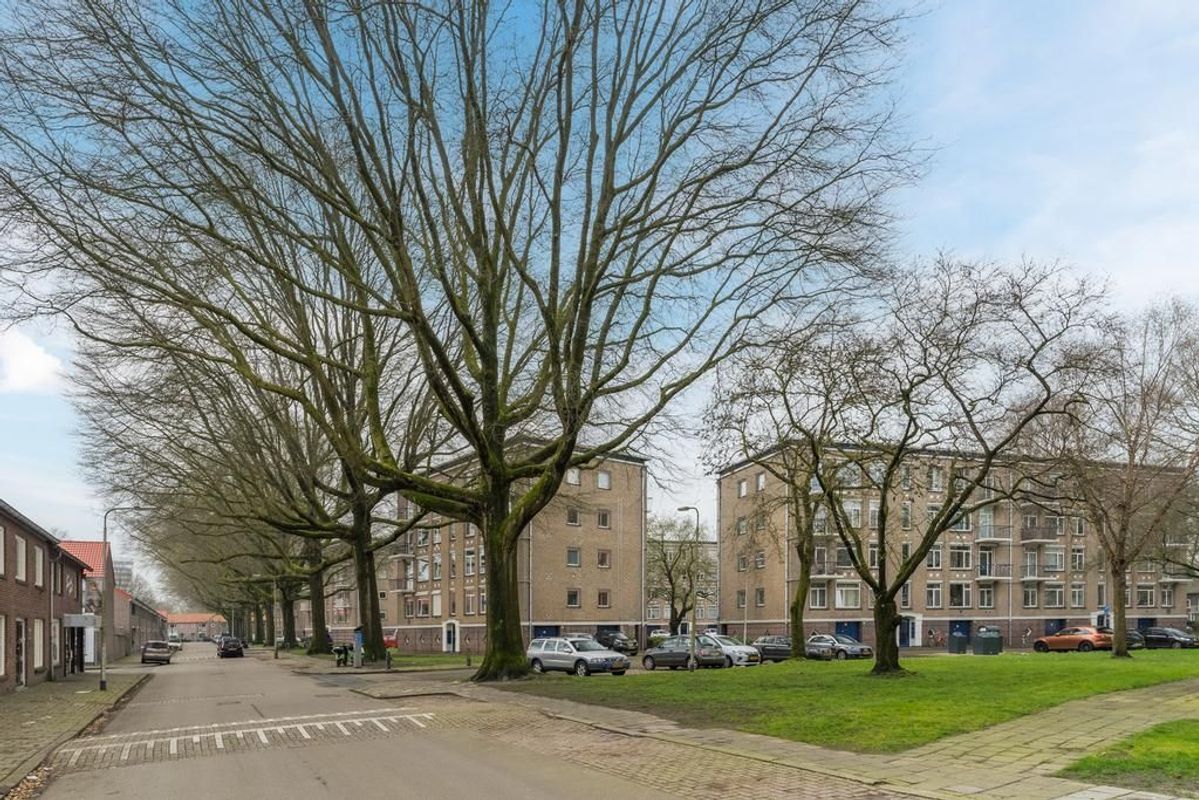 Johannes van Zantenstraat 5 Photo Blur 34