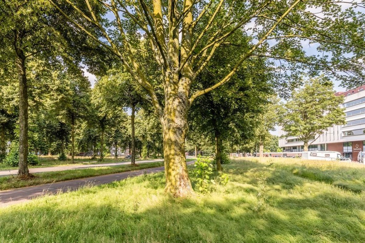 Ringbaan-Zuid 334 Photo Blur 30