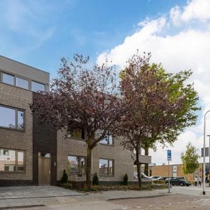 Beethovenlaan 265 Photo 2