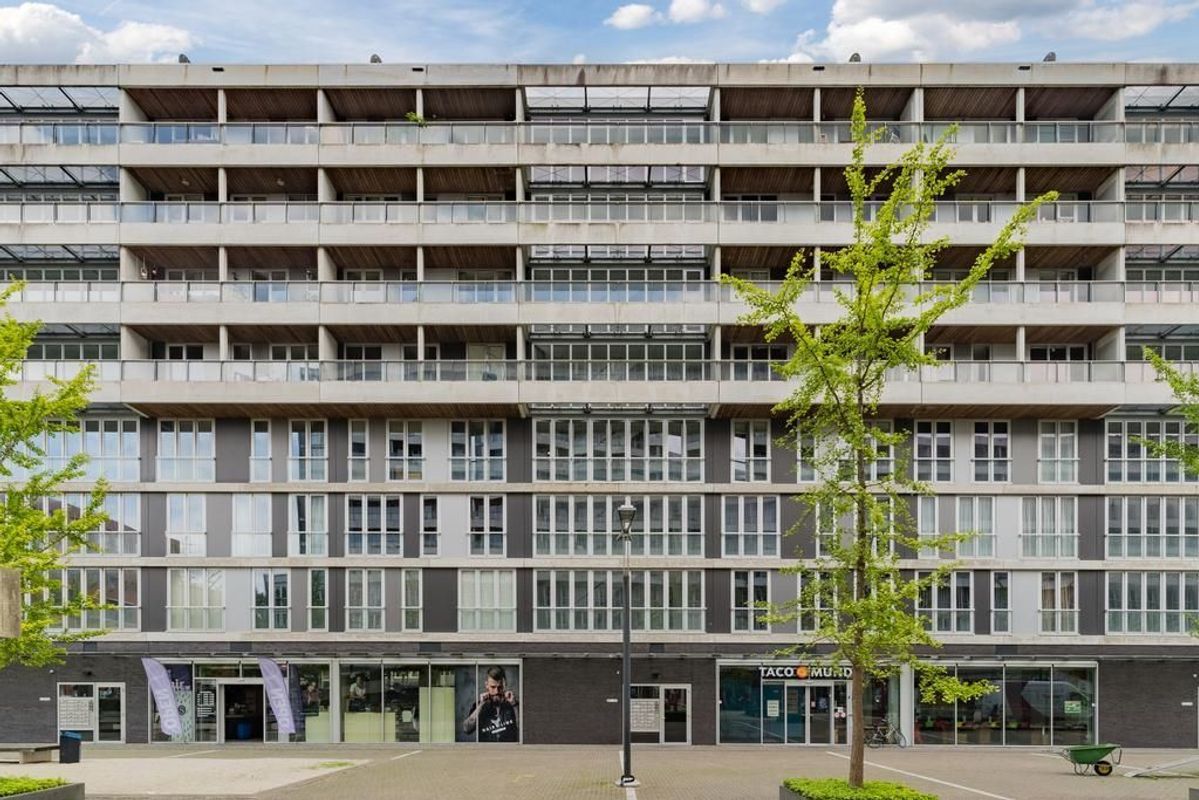 Professor de Moorplein 467 Photo Blur 30