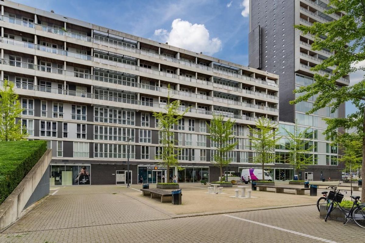 Professor de Moorplein 467 Photo Blur 27