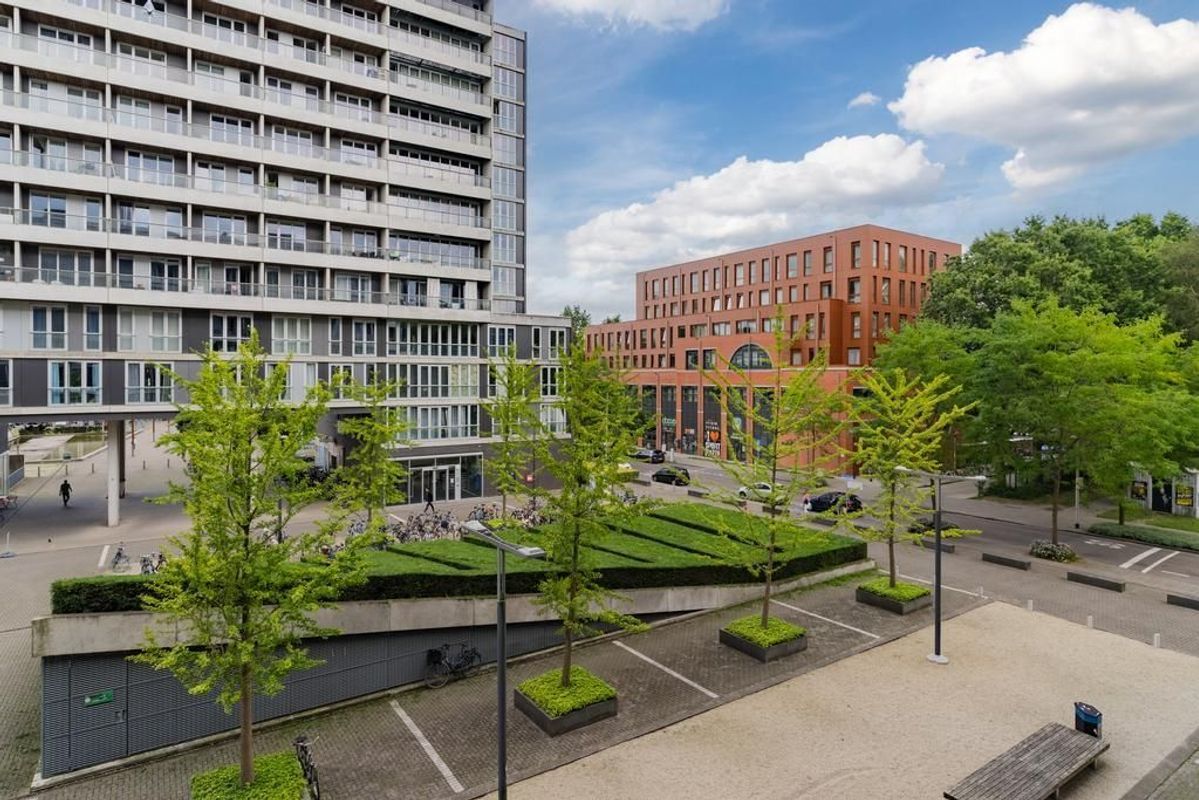 Professor de Moorplein 467 Photo Blur 29