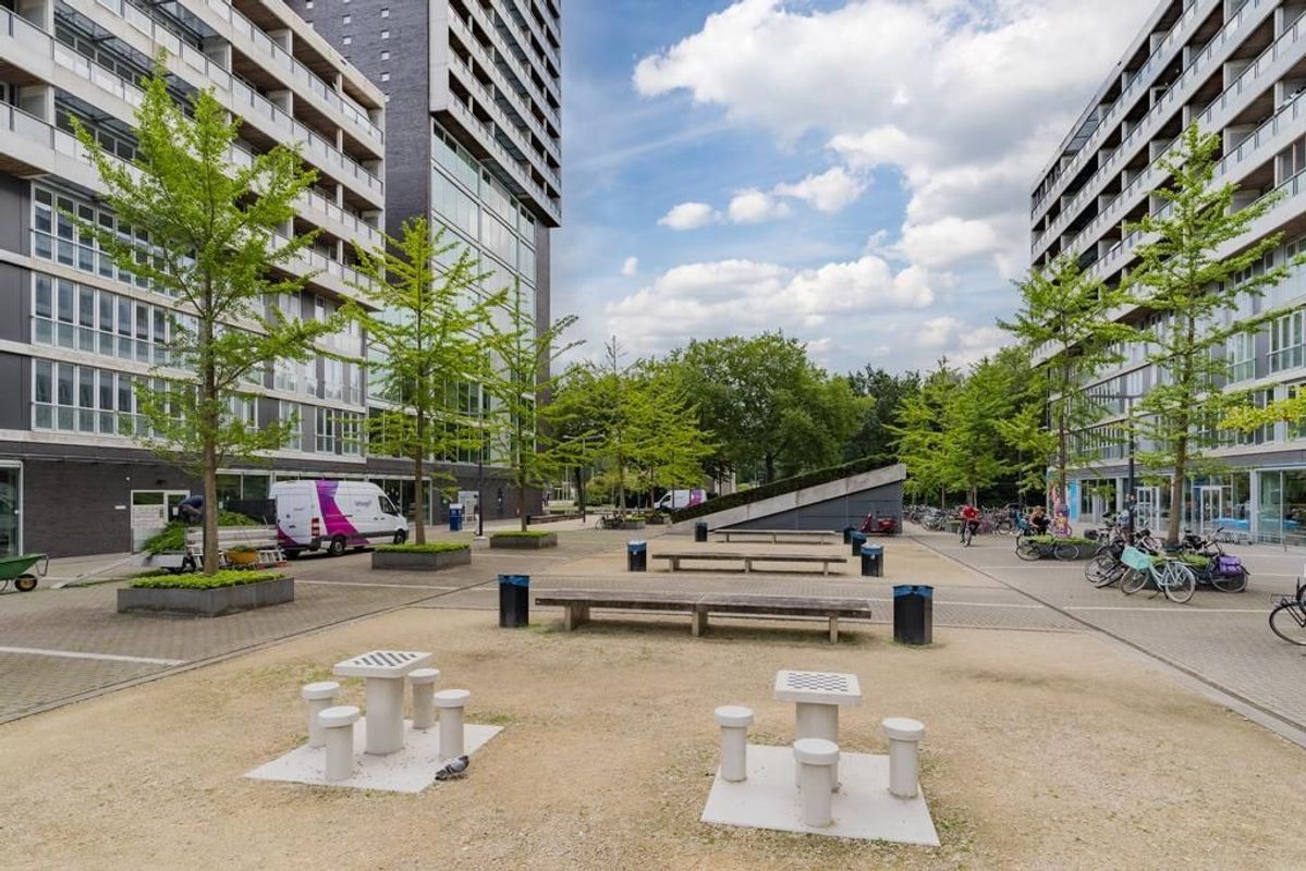 Professor de Moorplein 467 Photo Blur 26