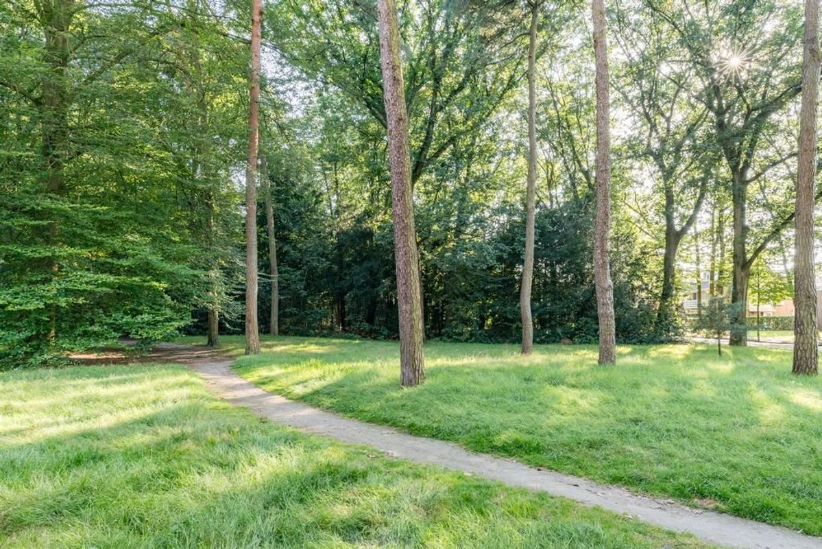 Zwartvenseweg 24 Photo Blur 27