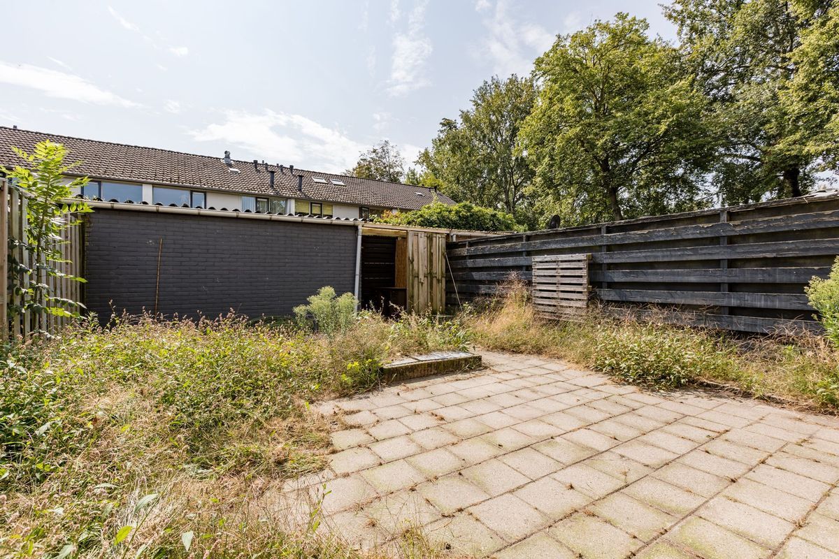 Hugo Wolfstraat 11 Photo Blur 18