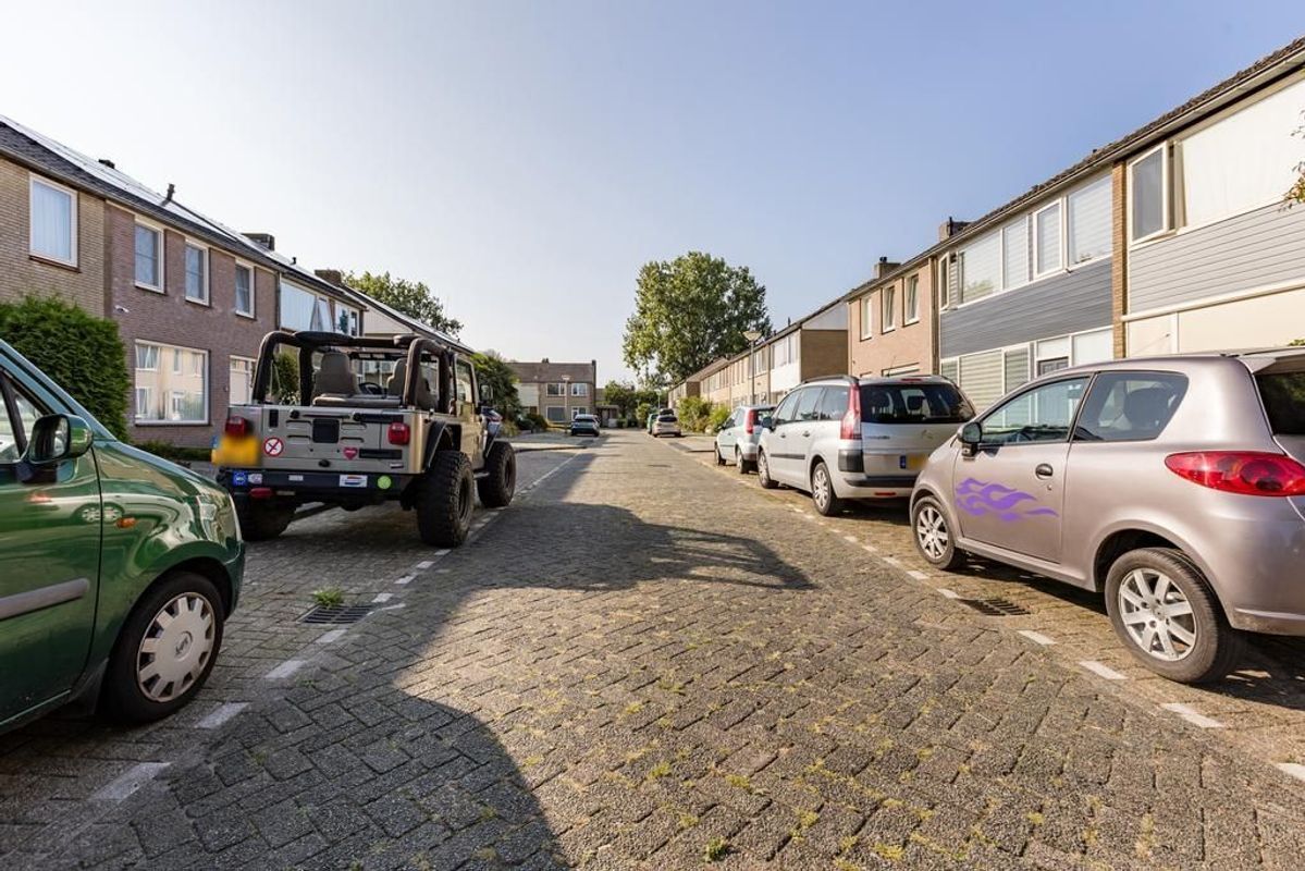 Mr. Ruys de Beerenbrouckstraat 1 Photo Blur 23