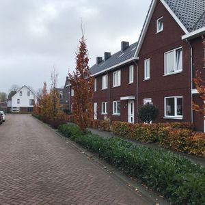 Turfschip 11 Photo 2