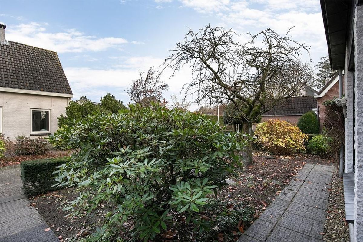 Crispijnhof 15 Photo Blur 50