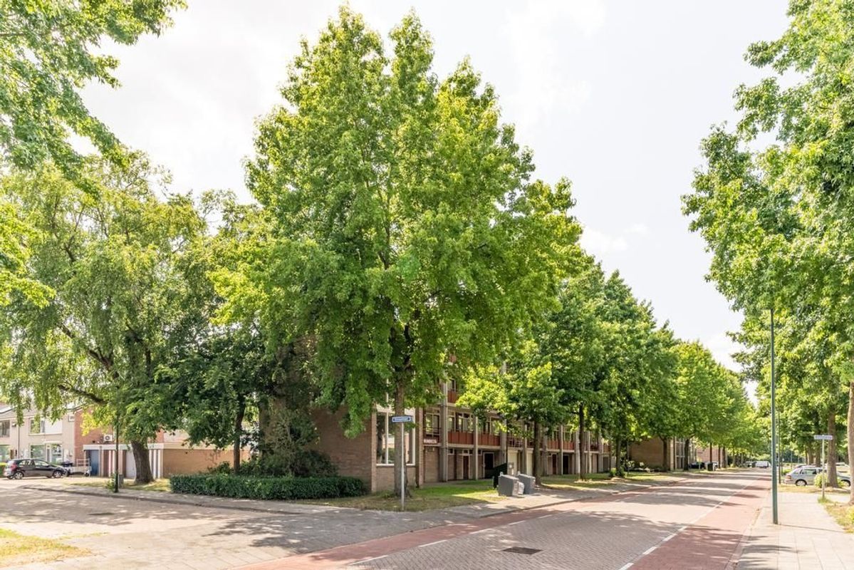 Rijnstraat 8 Photo Blur 41