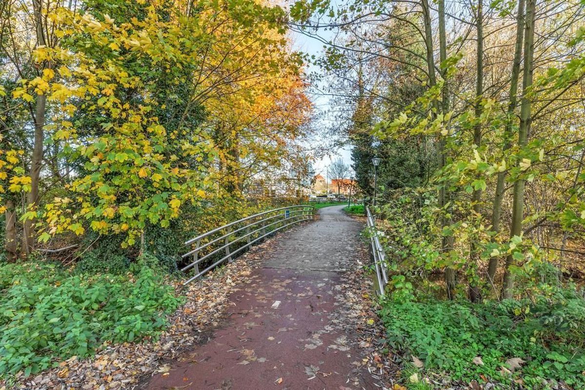 Hofdael 184 Photo Blur 56