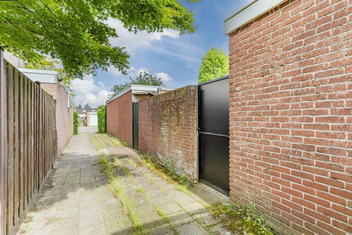 Kriekelaar 11 Photo Blur 35
