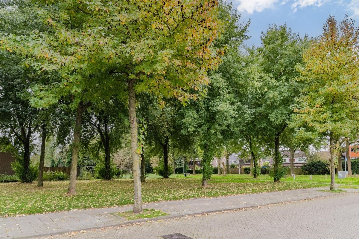Baflostraat 10 Photo Blur 26