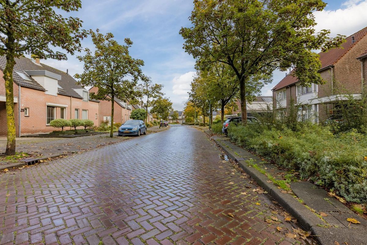 van Petersheimstraat 20 Photo Blur 35