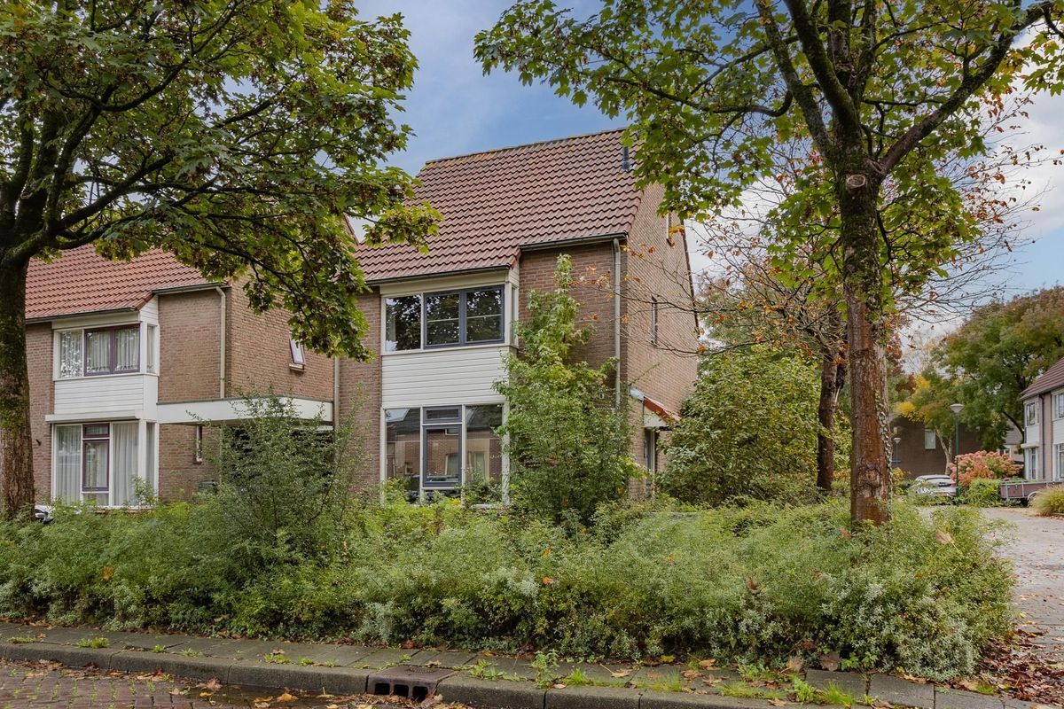 van Petersheimstraat 20 Photo Blur 0