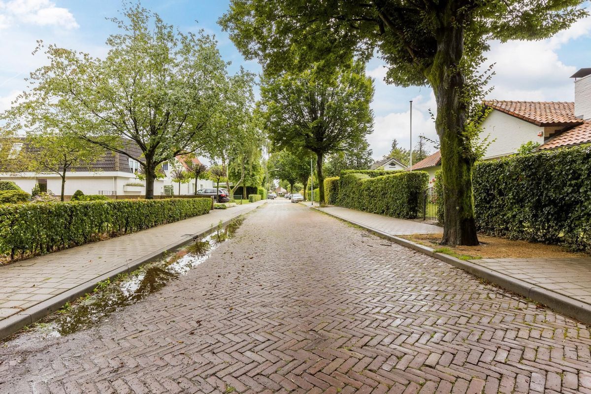 Wermenbossestraat 1 Photo Blur 34