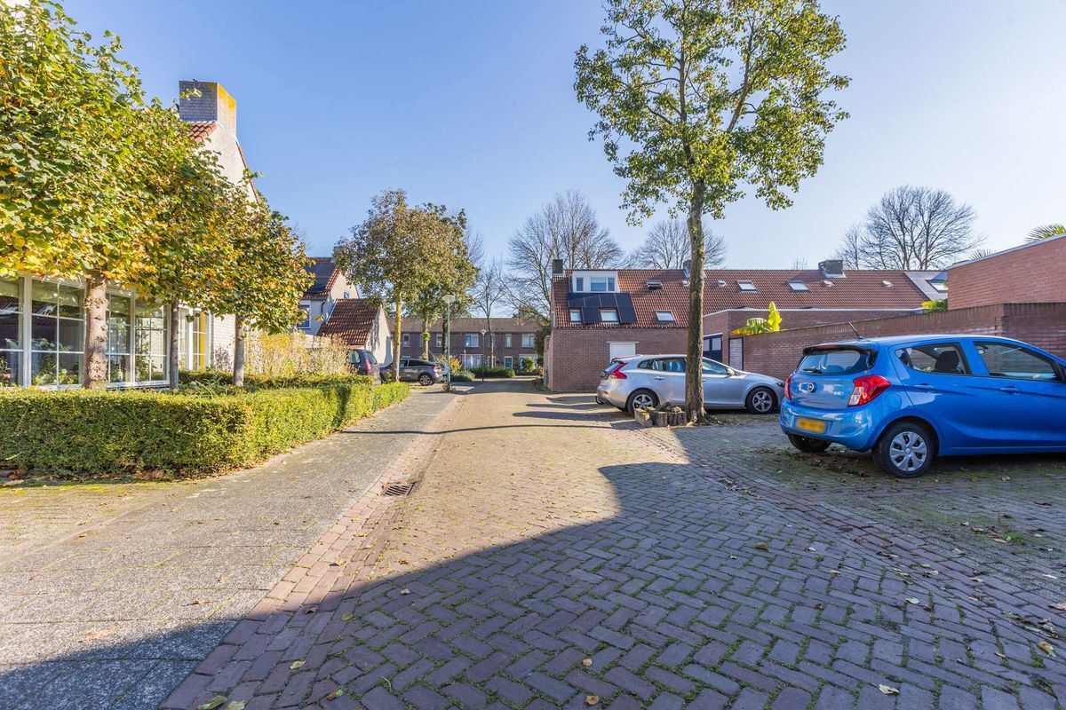 Scholverbos 60 Photo Blur 35
