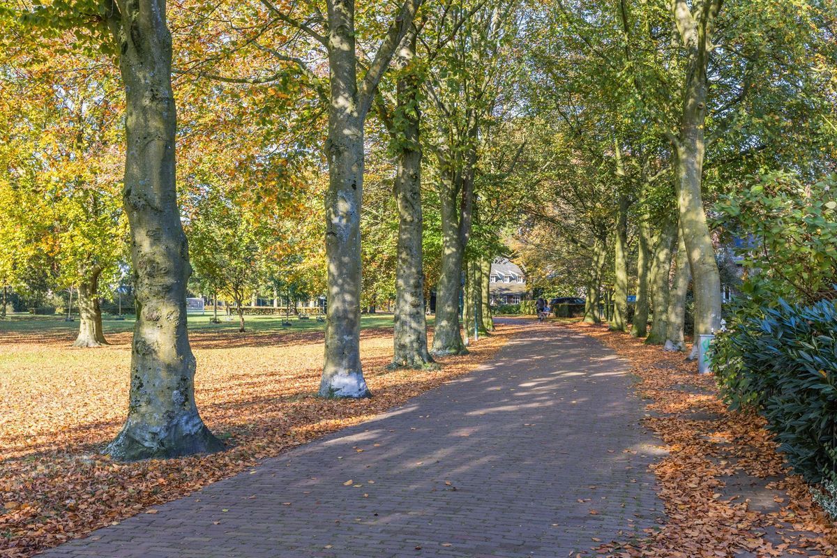 Scholverbos 60 Photo Blur 38