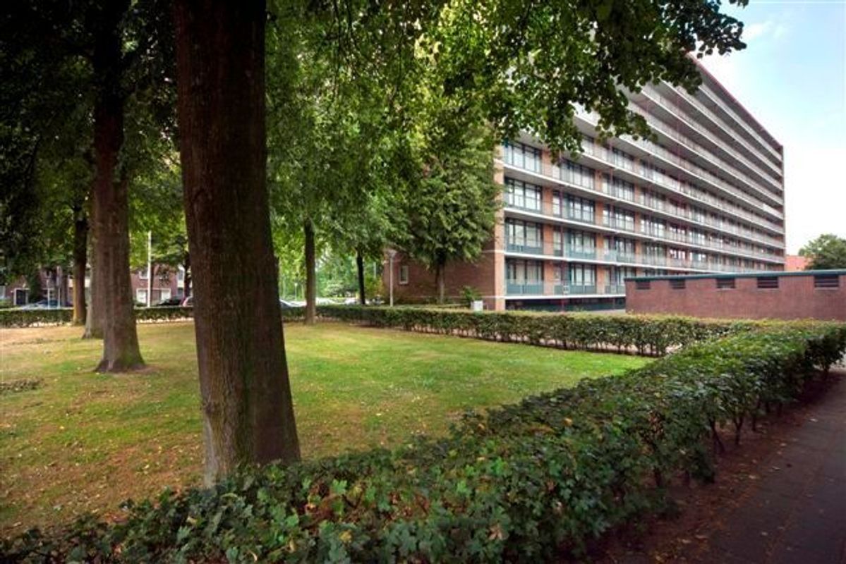 Postelse Hoeflaan 260 Photo Blur 3
