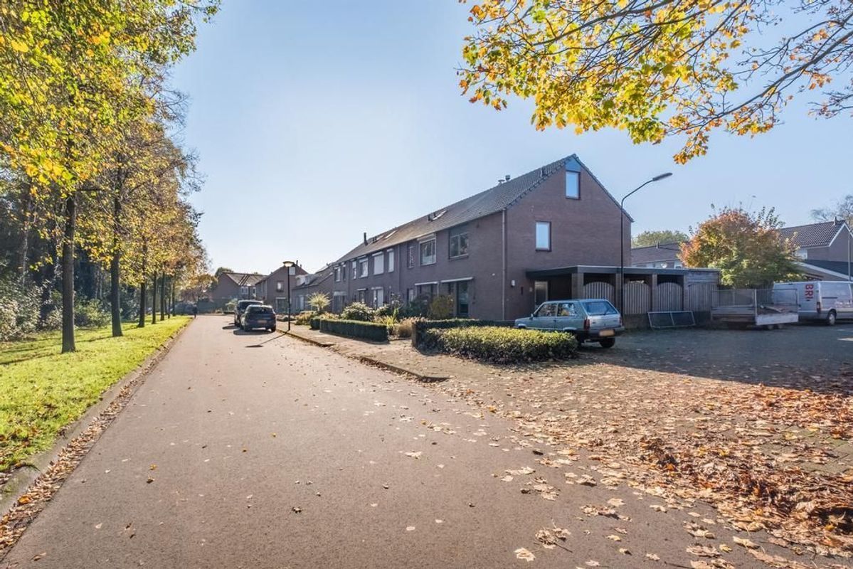 Windrecht 45 Photo Blur 43