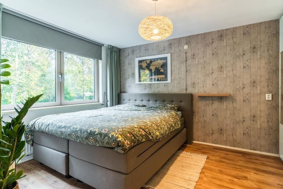 Windrecht 45 Photo Blur 17