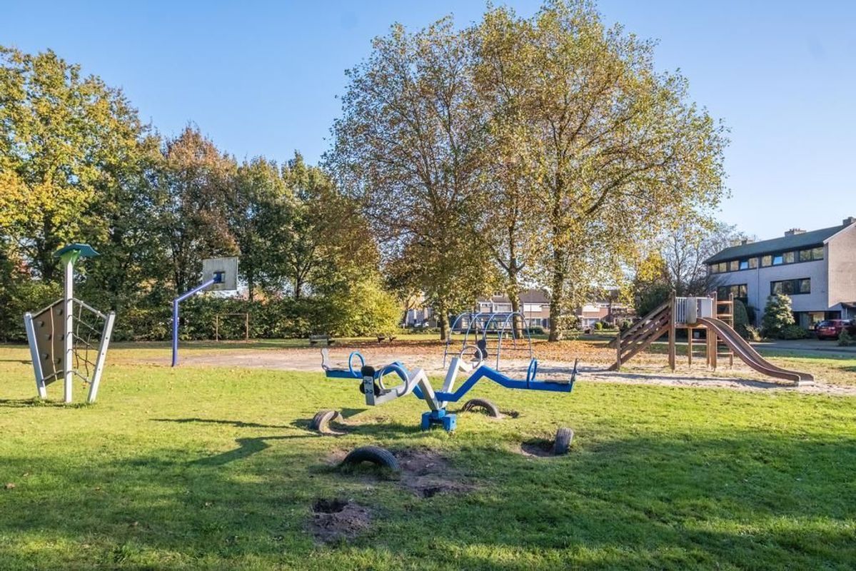 Windrecht 45 Photo Blur 45