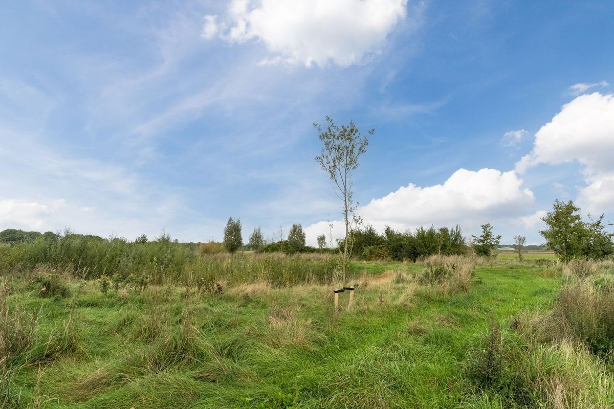 Eikenveld 17 Photo Blur 40