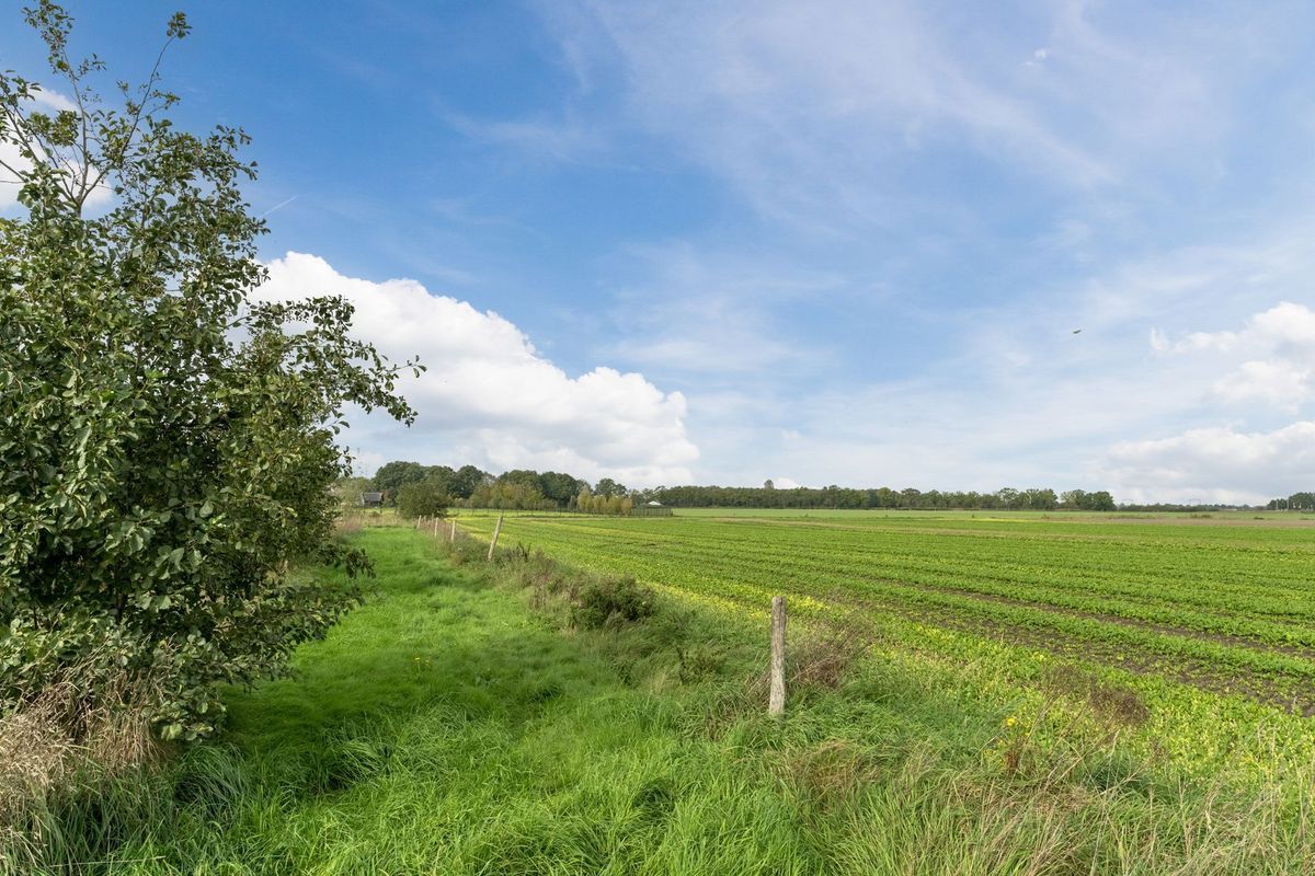 Eikenveld 17 Photo Blur 44