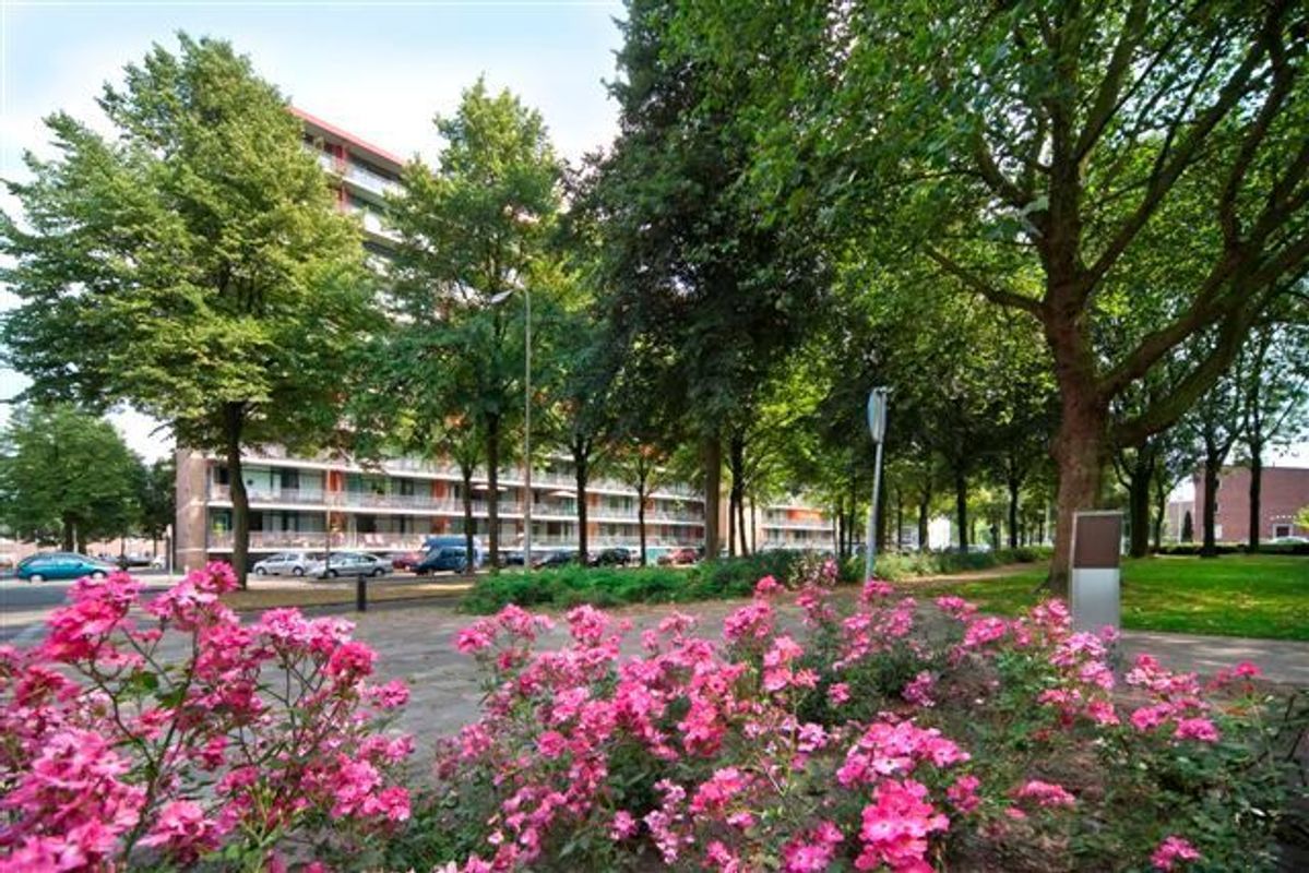 Postelse Hoeflaan 142 Photo Blur 5