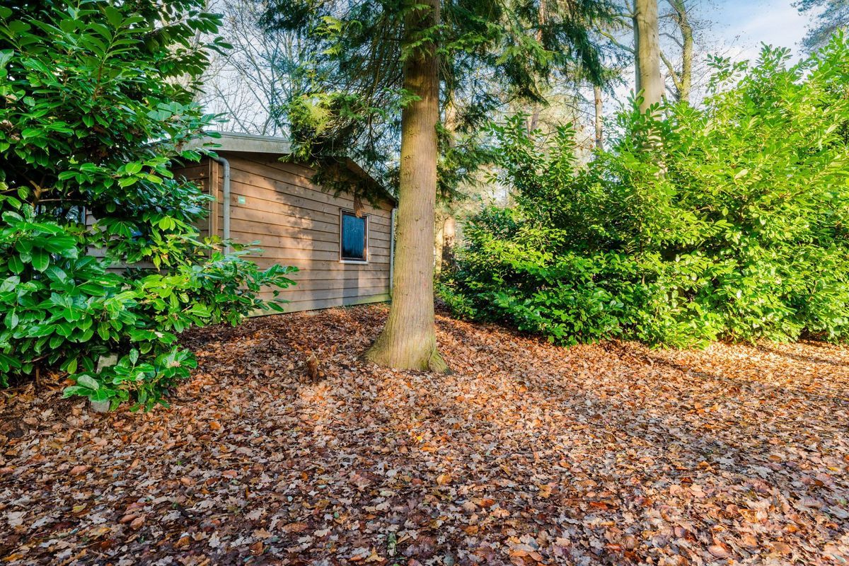 Flaasbloem huisnr 1365 Photo Blur 14