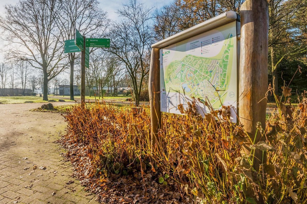 Flaasbloem huisnr 1365 Photo Blur 20