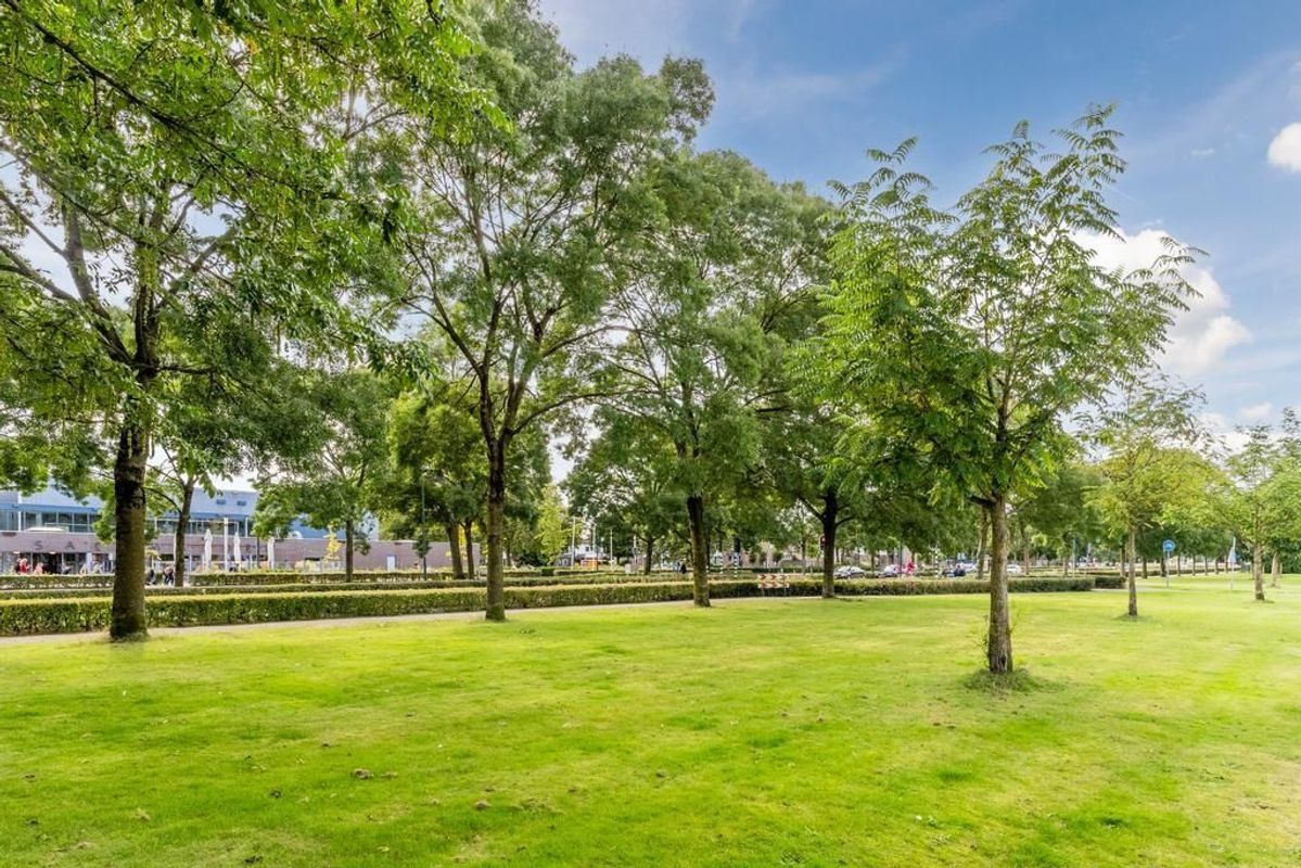 Jeroen Boschstraat 12 Photo Blur 37